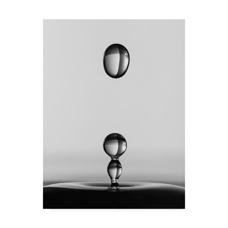 Trademark Fine Art Jacqueline Hammer 'Water Drops Centered' Canvas Art, 24x32 1X07971-C2432GG